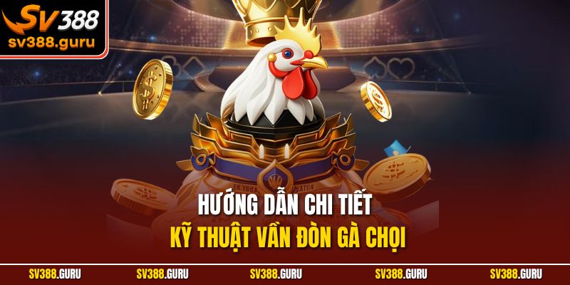 Hướng dẫn chi tiết kỹ thuật vần đòn gà chọi